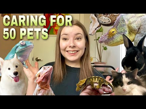 My Morning Pet Care Routine For 50 Pets! | Vlog